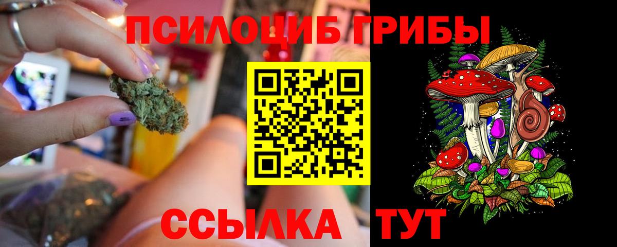 Галлюциногенные грибы GOLDEN TEACHER  купить наркоту  Надым  Вход с VPN  Псилоцибиновые грибы Cubensis 