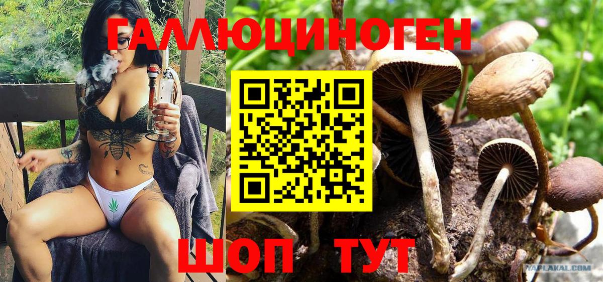 Псилоцибиновые грибы MAGIC MUSHROOMS Надым